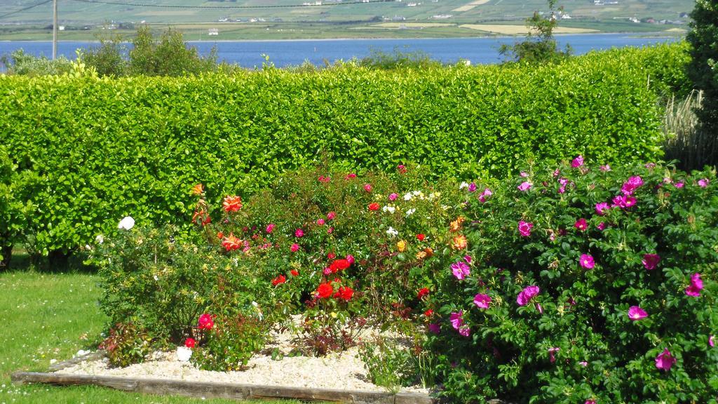 Cul Draiochta B&B V23D540 Cahersiveen Εξωτερικό φωτογραφία